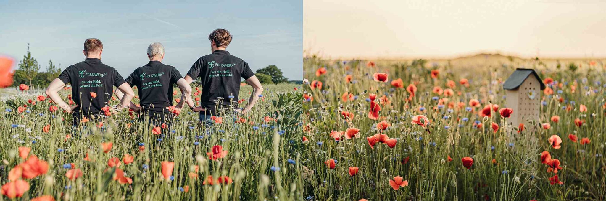 Banner Partner und Kooperationen