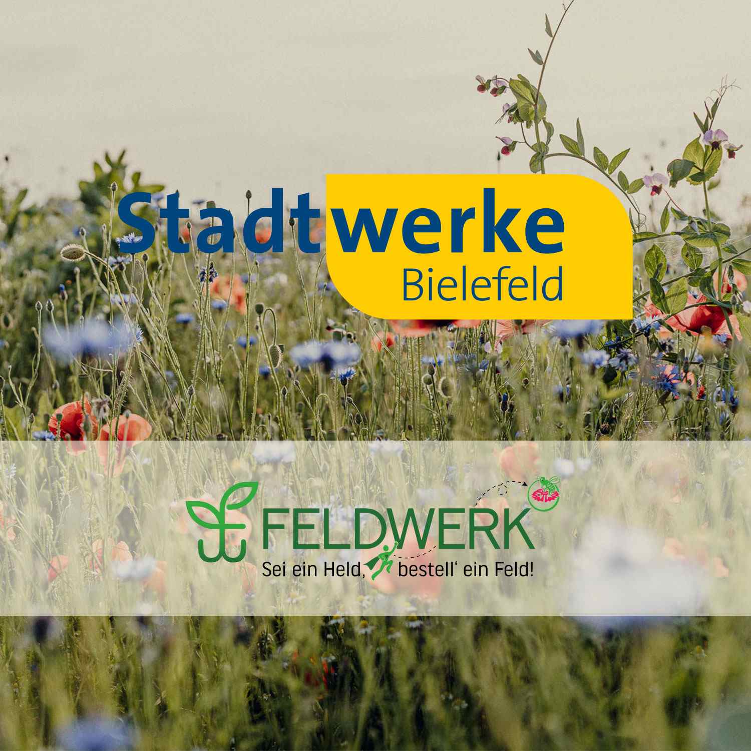 /stadtwerke-bielefeld /stadtwerke-bielefeld